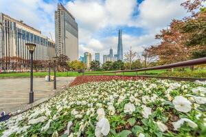 Picture from Shanghai's Gucheng Park of the Pudong skyline photo