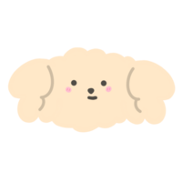 Cute Dog Head Cartoon illustration Cream Poodle Dog Cute Dog Dog Sticker Cute Element png