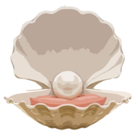 Pearl white beauty png