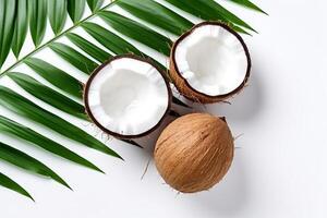 Top view coconut with leaves isolated on white background.. photo