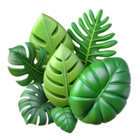 3d tropical leaves icon, green foliage design, botanical illustration, digital art for eco-friendly branding, nature-themed graphic png