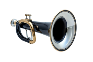 Air Horn On Transparent Background. png