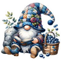 Patchwork Hat Gnome with Blueberries Illustration png