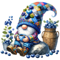 Patchwork Hat Gnome with Blueberries Illustration png