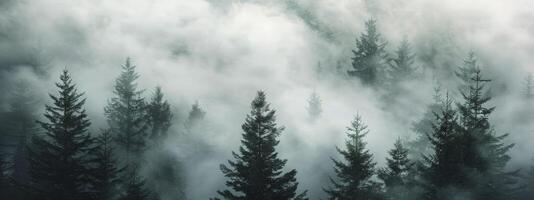 Enigmatic Reverie, Wallpaper Background Featuring a Fog-Covered Forest, Evoking Mystery and Intrigue photo