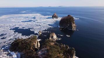 Drone view of ice floes floating in the sea near the shore video