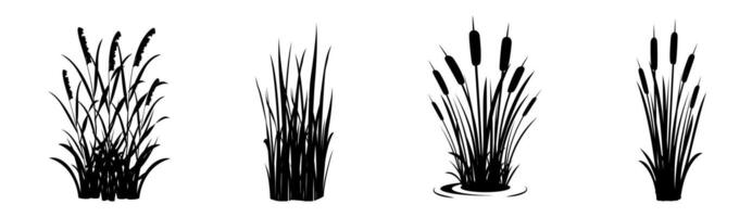 Silhouette of reeds on a white background. Set of swamp grass elements. Swamp vegetation for design vector