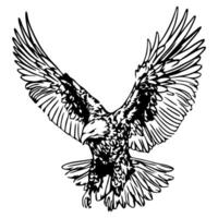 Eagle with spread wings illustration vector