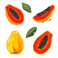 1Set of juicy and healthy yellow red papaya and slices isolated on white background. Sliced fruit illustration in flat style. Summer clipart for design of card, banner, flyer, sale, poster vector