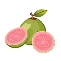 juicy and healthy green pink cut guava with green leaves. Isolated illustration on white background. Summer fruit for flat design of card, banner, flyer, sale, poster, icons vector