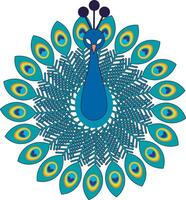 Peacock illustration, simple peacock drawing in green and blue tones vector