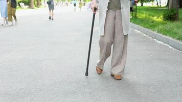 dichtbij omhoog senior vrouw poten wandelen met riet in de park. bejaarde vrouw met stok genieten van zonnig dag in park, pensioen recreatie video