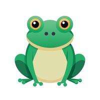 Frog Simple graphics illustration vector