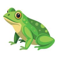 Frog Simple graphics illustration vector