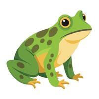 Frog Simple graphics illustration vector