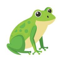 Frog Simple graphics illustration vector
