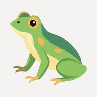 Frog Simple graphics illustration vector