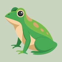 Frog Simple graphics illustration vector