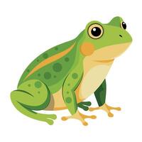 Frog Simple graphics illustration vector