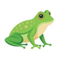 Frog Simple graphics illustration vector