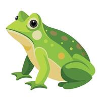 Frog Simple graphics illustration vector