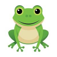 Frog Simple graphics illustration vector