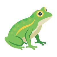 Frog Simple graphics illustration vector