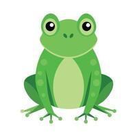 Frog Simple graphics illustration vector