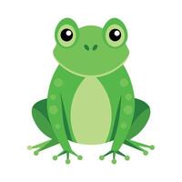 Frog Simple graphics illustration vector