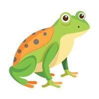 Frog Simple graphics illustration vector