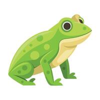 Frog Simple graphics illustration vector