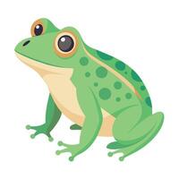 Frog Simple graphics illustration vector