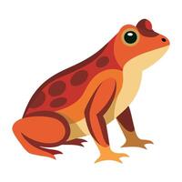 Frog Simple graphics illustration vector