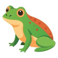 Frog Simple graphics illustration vector