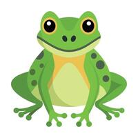 Frog Simple graphics illustration vector