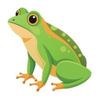 Frog Simple graphics illustration vector