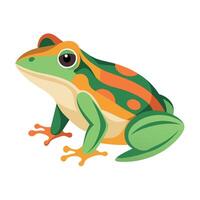 Frog Simple graphics illustration vector