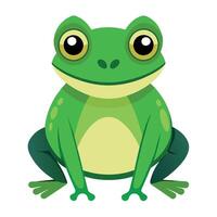 Frog Simple graphics illustration vector