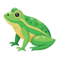 Frog Simple graphics illustration vector