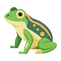 Frog Simple graphics illustration vector