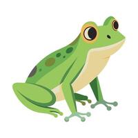 Frog Simple graphics illustration vector