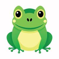 Frog Simple graphics illustration vector