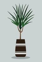 Plants in pots with pointed leaves. With a plain background. Minimalist home decoration. vector