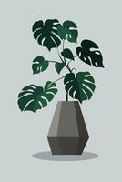 en conserva plantas con denso follaje. con un llanura antecedentes. minimalista hogar decoración. vector