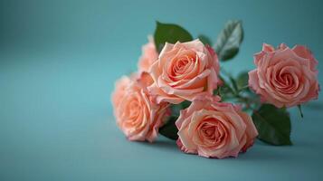 Elegant pink roses arranged diagonally on a soft blue background, with space for text. photo