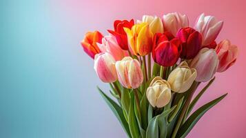 Bouquet of pink tulips on a pastel pink background, top view with copy space. photo