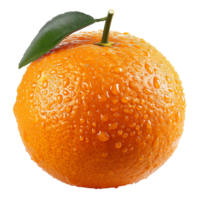 färsk orange transparent bild png