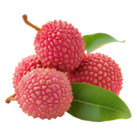 Frais litchi transparent image png