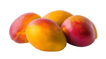 frisch Mangos transparent Bild png