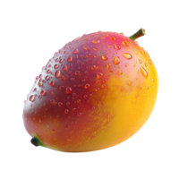 frisch Mango transparent Bild png